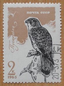 Fauna - Ptáci  / ʘ / raz. - Rusko - SSSR