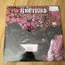 Pink Floyd - Beyond The Gates Of Dawn - Psychedelic Sessions LP (rare) - LP / Vinylové dosky