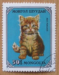 Fauna - Kočky / ʘ / raz. - Mongolsko
