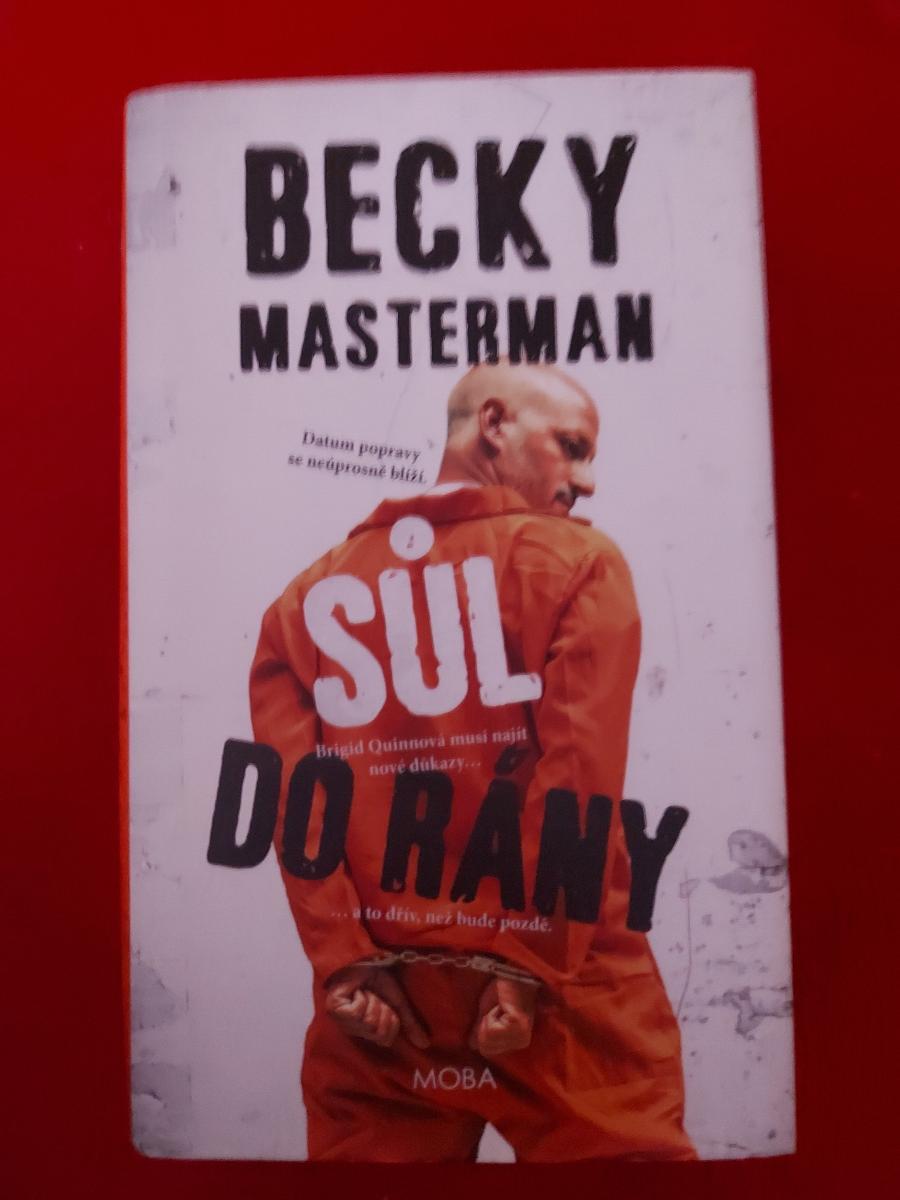 Becky Masterman - Soľ do rany - Knihy