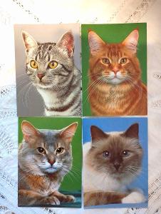 Retro pohlednice koček - 4ks