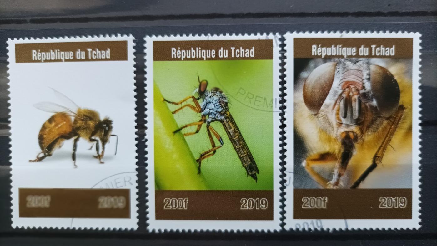 3x tematický Hmyz / Tchad (ČAD) 2019 - Tematické známky