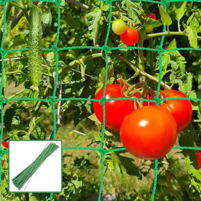 Síť na popínavé rostliny, rajčata, okurky 1,8 x 3,6 m s 50ti vazbami
