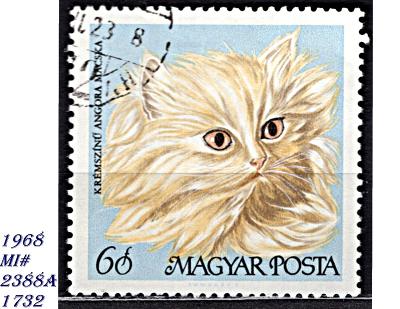 Maďarsko 1968, kočka perská