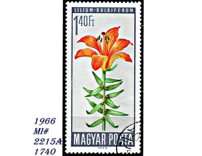 Maďarsko 1966, lilie cibulkonosná