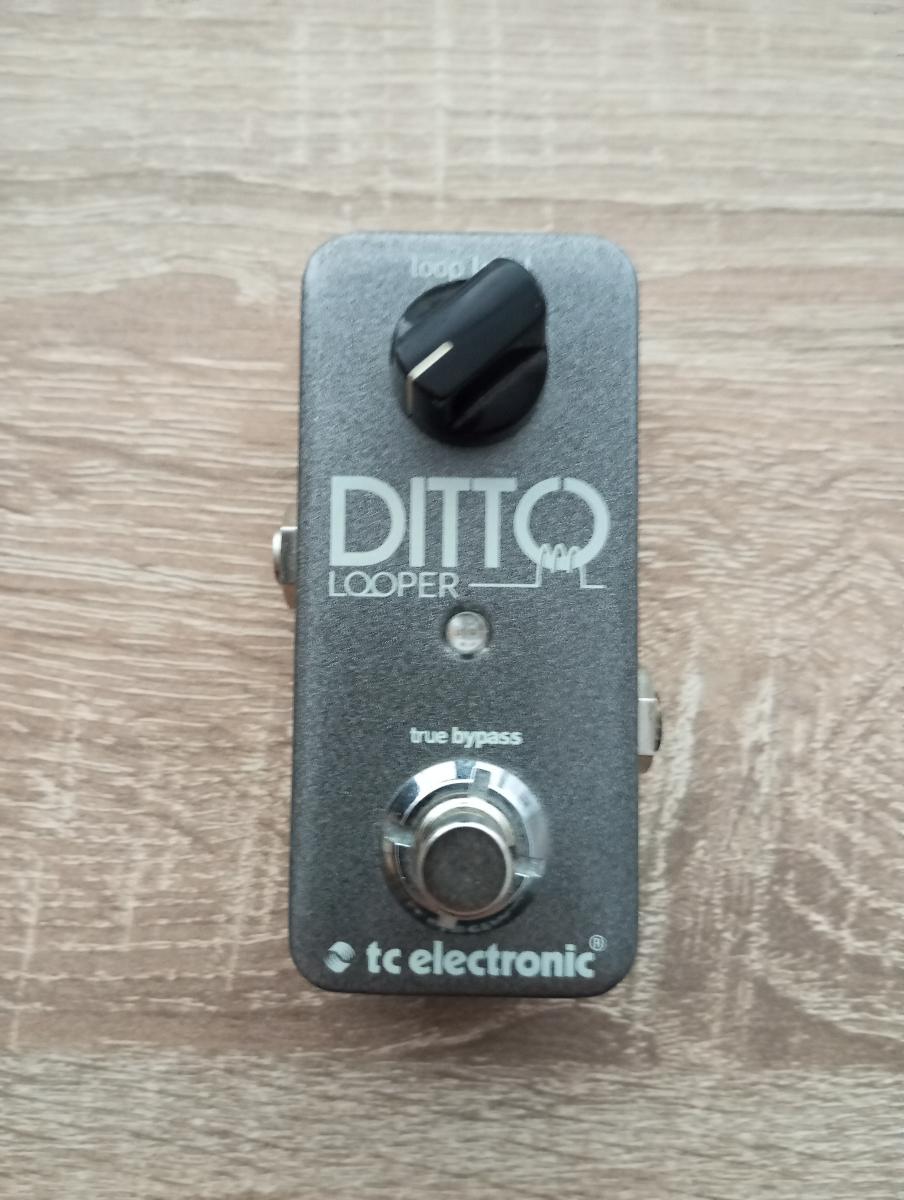 TC ELECTRONIC Ditto Looper - Strunové nástroje