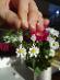 Náušnice kvetina - korálky achát, háčiky bez niklu - Bižutéria
