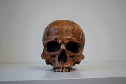 Lebka 1:1 s patinou pod prilbu, totenkopf, SS, WWII, helma, M42, skull - Zberateľstvo