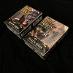 2x Starter kartové hry Lord of the rings TCG Black Rider - undefined