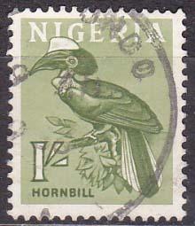 An.kolonie - Nigere - ptáci, zoborožec