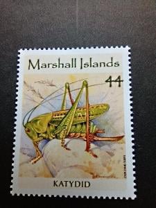 Hmyz - Marshallovy ostrovy 2011 - Kobylka zelená