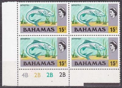 Bahamy - ryba **