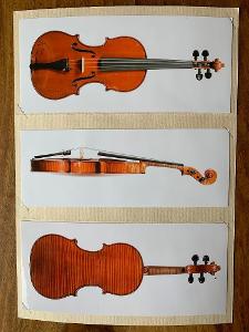 Vzácné mistrovské housle F. X. Drozen