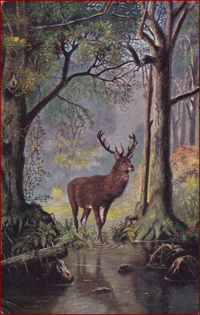 Lovecký motív * jeleň, zvieratá, lesná krajina, poľovníctvo * M2817 - Zberateľstvo