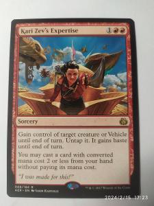Kari Zev's Expertise