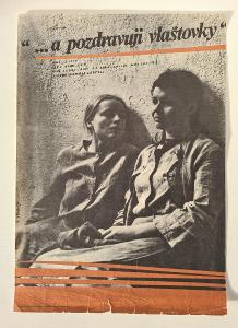 Filmový plakát A3 - "...A POZDRAVUJI VLAŠTOVKY" 1 (Bidlo,1972)