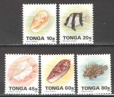 ** TONGA série mořská fauna 1995