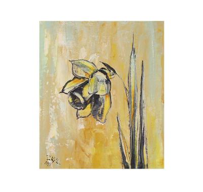 Květina-Narciska, plátno