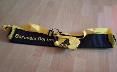 Borussia Dortmund termo taška na plechy