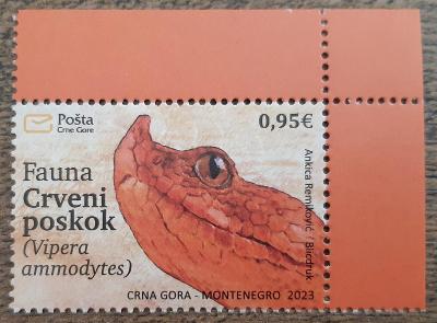 Černá Hora ** zmije růžkatá, novinka r.2023 (EN421-2)