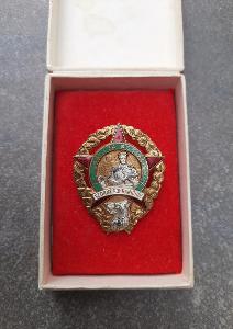 Čestný odznak Vzorný pohraničník ČSLA 1954 - 1961