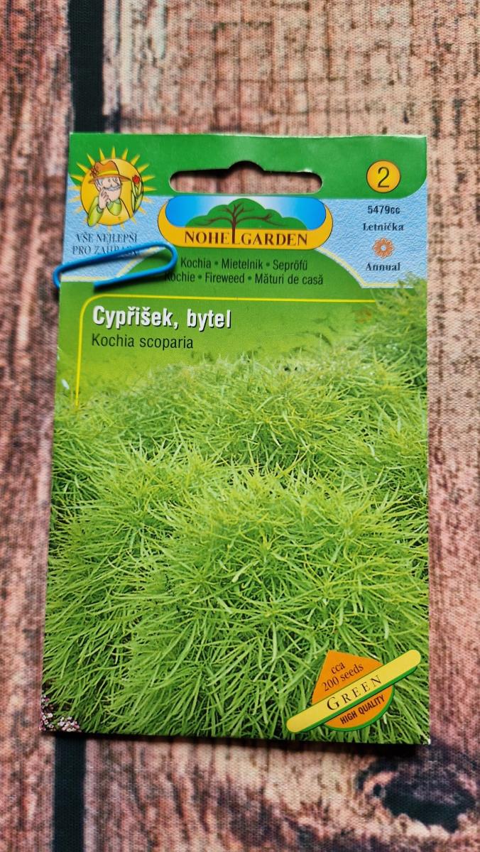 Semená cyprusiek bytel - Záhrada