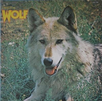 LP:Darryl Way's Wolf/progress,JAPAN press 1976,vsádka+GF/Canis M/MINT