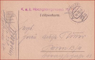 RU 1918 Feldpost nr. 238 * Feldpostkarte, pečiatka, regiment * F075