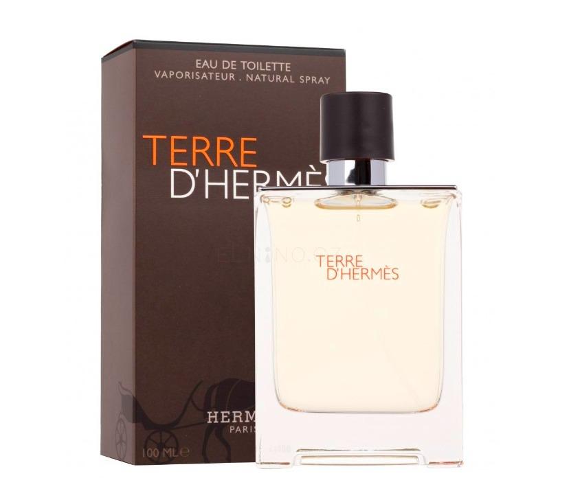 Hermes Terre D´ Hermés - EDT Toaletná voda pre mužov 100 ml - Vône