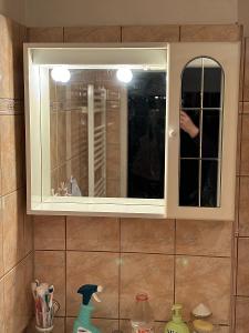 Koupelnová zrcadlová skříňka , tzv. galérka - možný tip asi Jokey Oslo