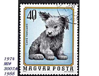 Maďarsko 1974, štěně