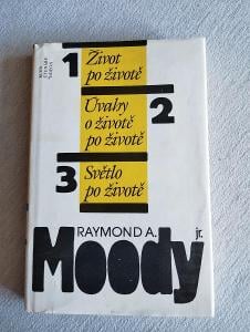 Život po životě - Raymond A. Moody, 1991