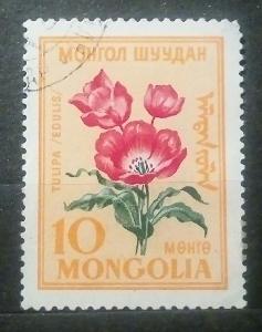 330 Mongolsko.