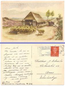 Ovce před salaší - odesláno 14.12.1949 z Holandska - esperanto - MF