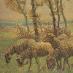 Naučná nástěnná cedule - vyobrazení pasení ovcí - Starožitnosti a umenie