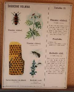Škůdcové rolníka 13 - přírodopis - školní plakát - 