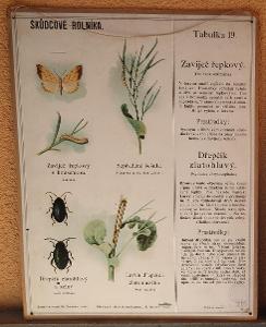 Škůdcové rolníka 19 - přírodopis - školní plakát - 