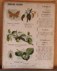 Škůdcové rolníka 15 - přírodopis - školní plakát - 