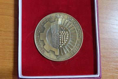Zaujmavá medaila za zásluhy o rozvoj Krtíša Od korunky