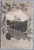 Karlov Týn - Karlštejn - pekná dubová zdobená koláž dlhá adresa 1902 - Pohľadnice miestopis