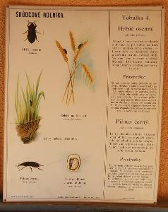 Škůdcové rolníka 4 - přírodopis - školní plakát - 