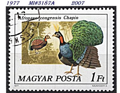 Maďarsko 1977,  páv konžský