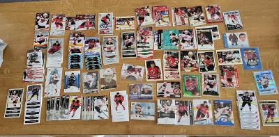New Jersey Devils - LOT cca 110 karet - Hughes, Eliáš, Brodeur a další