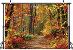 Super veľké jesenné pozadie na fotenie a iné využitie, 240x300 cm !#4 - Dom a záhrada
