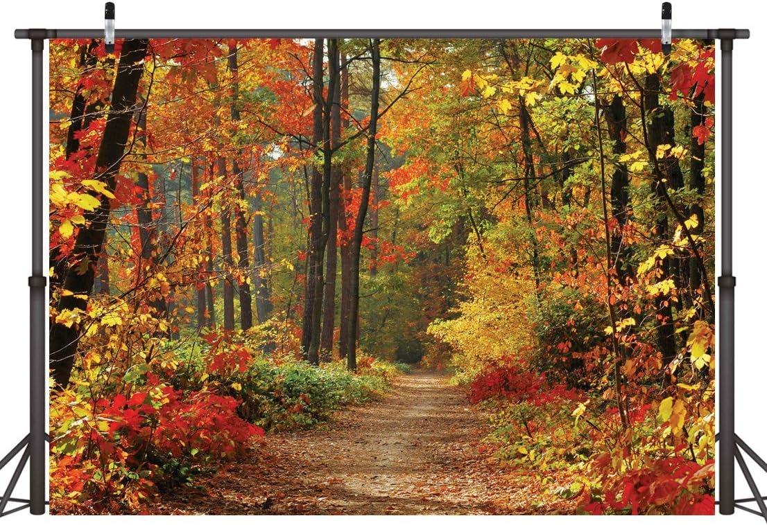 Super veľké jesenné pozadie na fotenie a iné využitie, 240x300 cm !#4 - Dom a záhrada