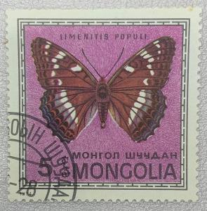 PZV.2024.105. Fauna - Motýli - Mongolie. jednou