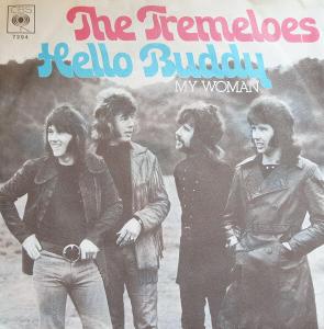 SP 45 THE TREMELOES Hello Buddy