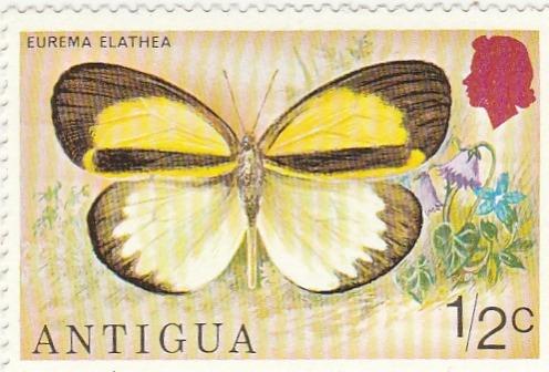 Antigua - na doplnenie - fauna - Známky
