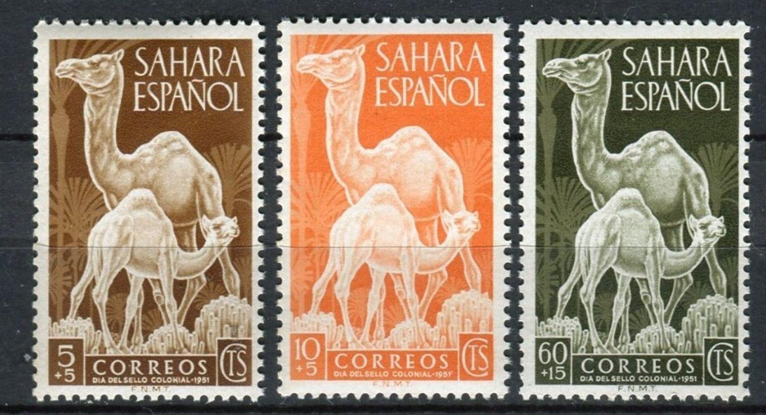 Španielska Sahara 1951 ** fauna ťavy komplet mi. 122-124 - Filatelia