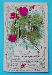 Stará pohlednice MF - DA - žánr - les - ptáci - tlačená